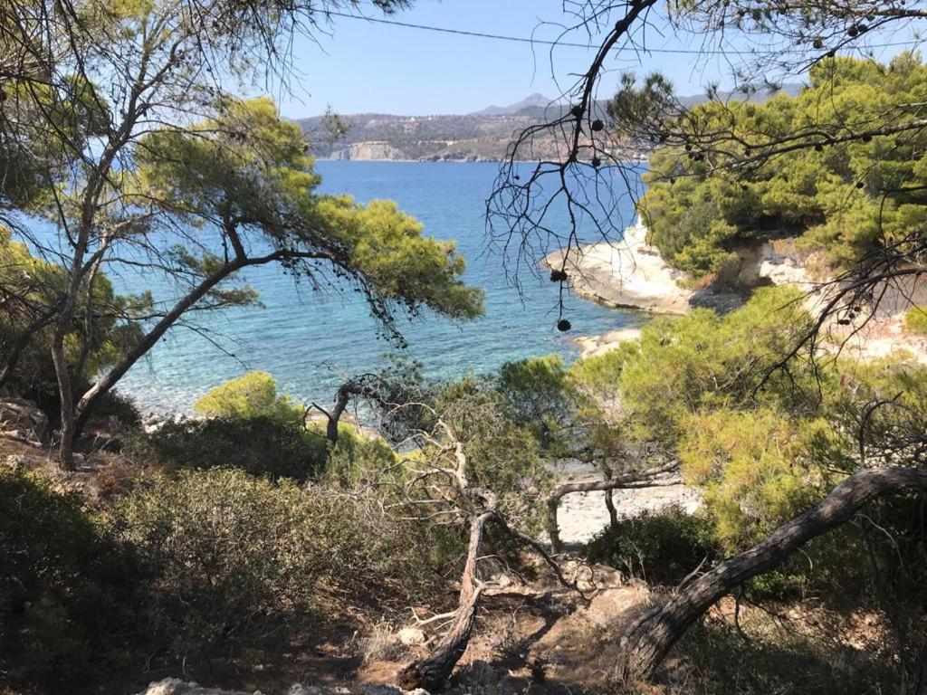 Vana Kavos Apartment Agia Marina  Екстериор снимка