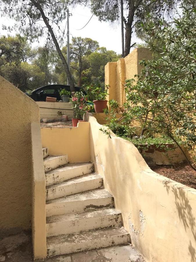 Vana Kavos Apartment Agia Marina  Екстериор снимка